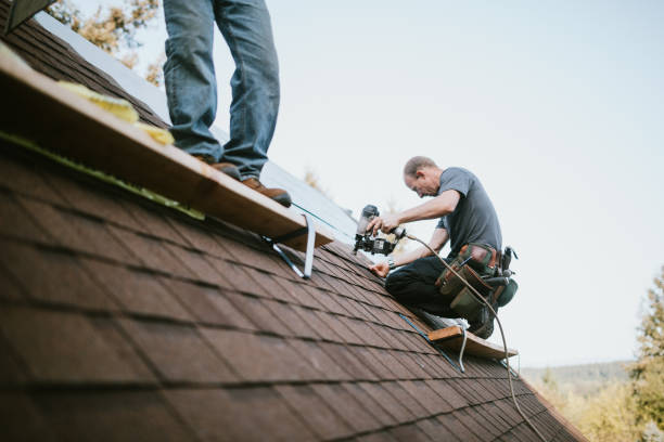 Best Metal Roofing Contractor  in Frankton, IN